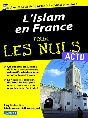 cover image of L'Islam en France pour les nuls Actu